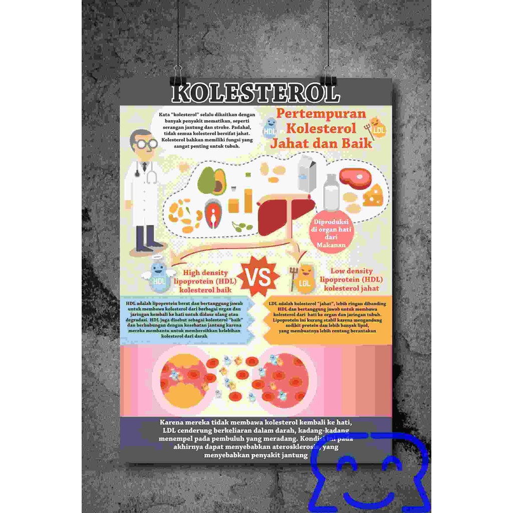 

Poster Kolesterol Jahat vs Baik dan Anatominya