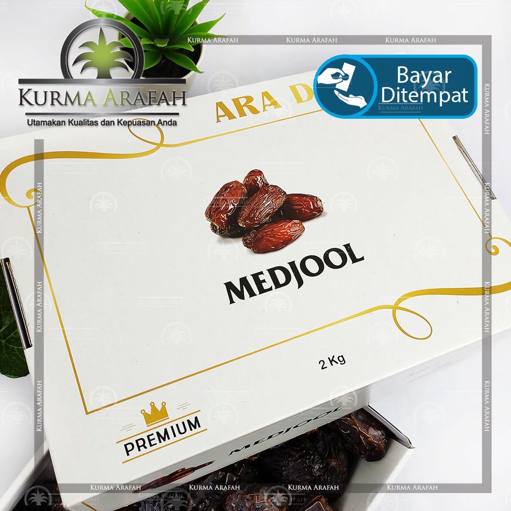 Kurma Medjool Premium ARA DATES Berijin Kementrian 2kg