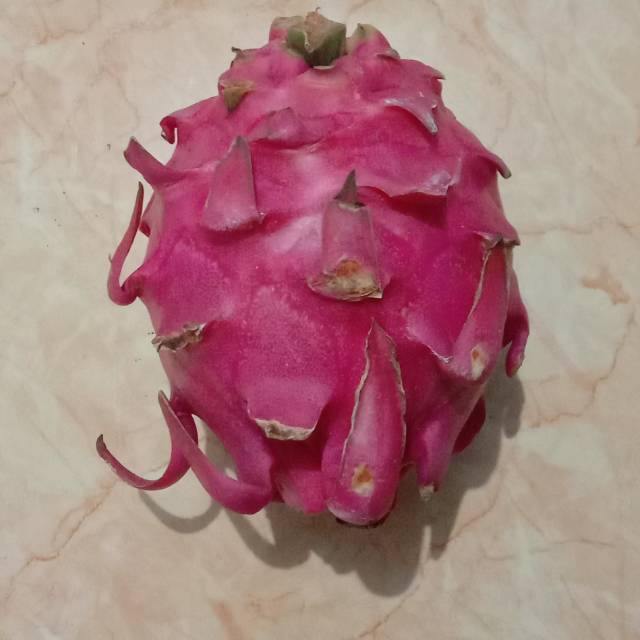 

Buah naga 1 kg sayur bandung