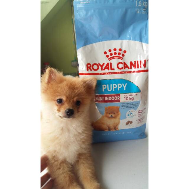 Royal Canin Mini Adult Dog 4kg Shopee Indonesia