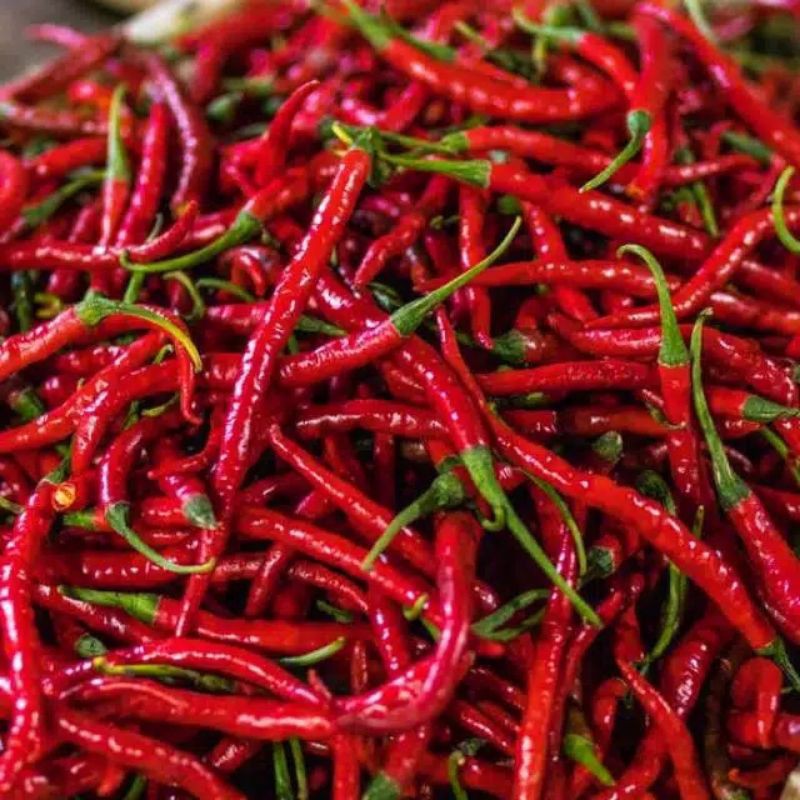 

Cabe kriting 250 gram