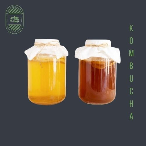 

Kombucha Tea