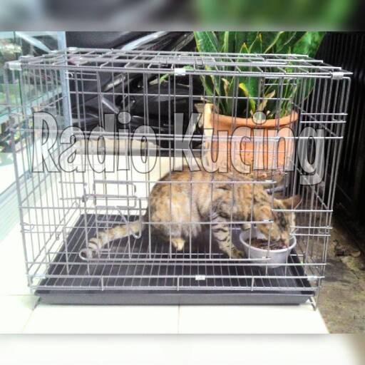Kandang 60 cm 2 pintu + Tatakan Tray Utk Kucing Anjing Guinea Pig Kelinci-2