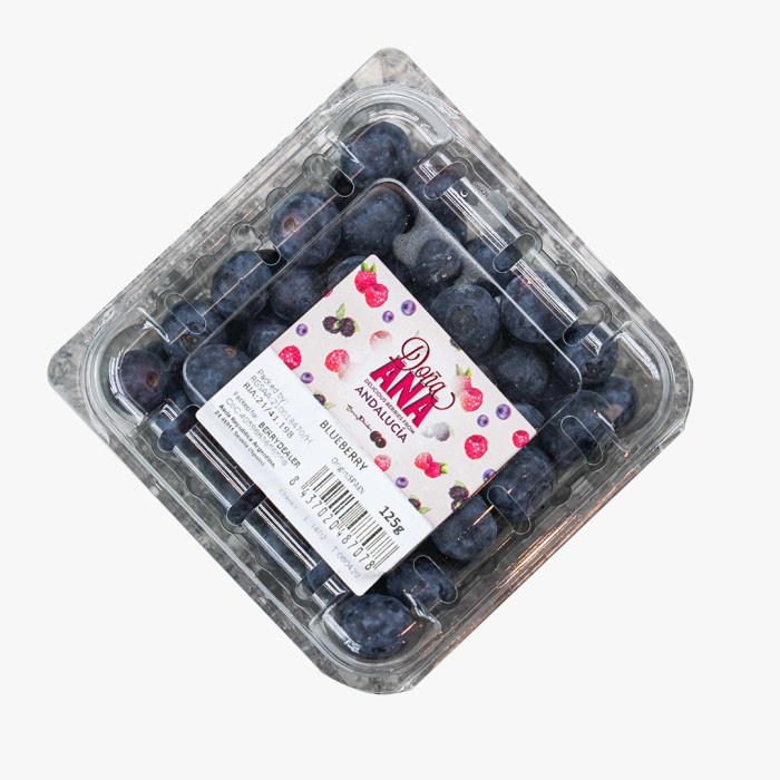 

Blueberry Spain Onuba 125Gr