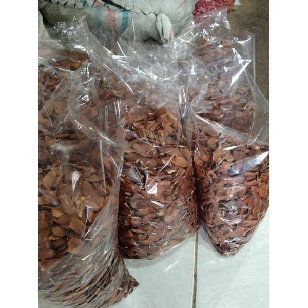 

biji mahoni kering 1kg obat herbal