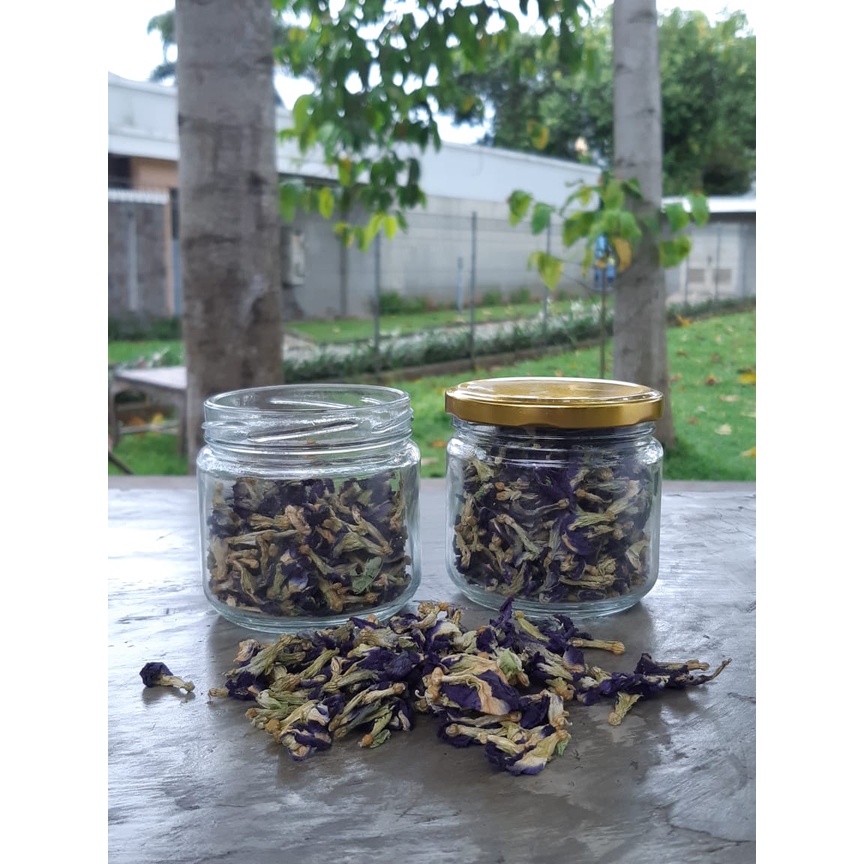 

Menoreh Bunga Telang Organik 20gram