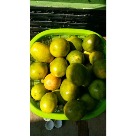 

Jeruk Lemon California