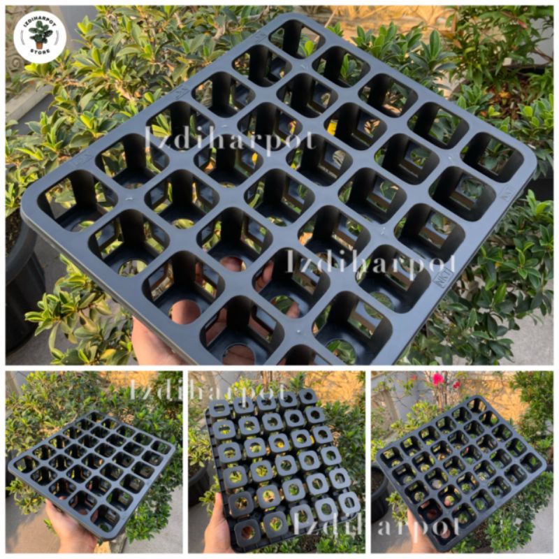 Tray pot nkt kotak 5cm lubang 30 (tanpa pot) | TRAY NKT 5CM LUBANG 30