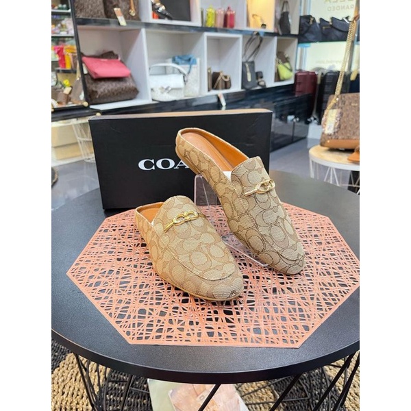 SEPATU COACH WANITA HARGA TERMURAH KUALITAS ORIGINAL BARANG BRANDED