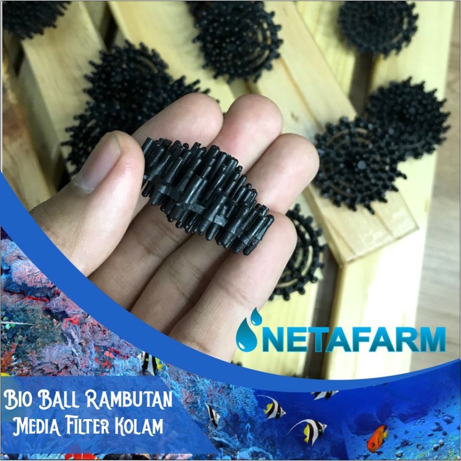 Bioball Bio Ball Rambutan Filter Kolam Aquarium Aquascape 1pcs