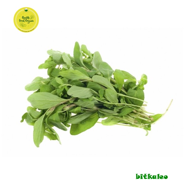 

Marjoram Organik 50 gr (PO)