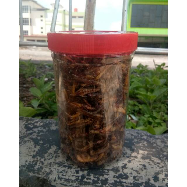 

Belalang goreng