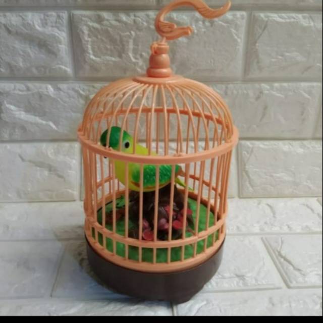 680 Gambar Burung Anak Kecil HD Terbaik