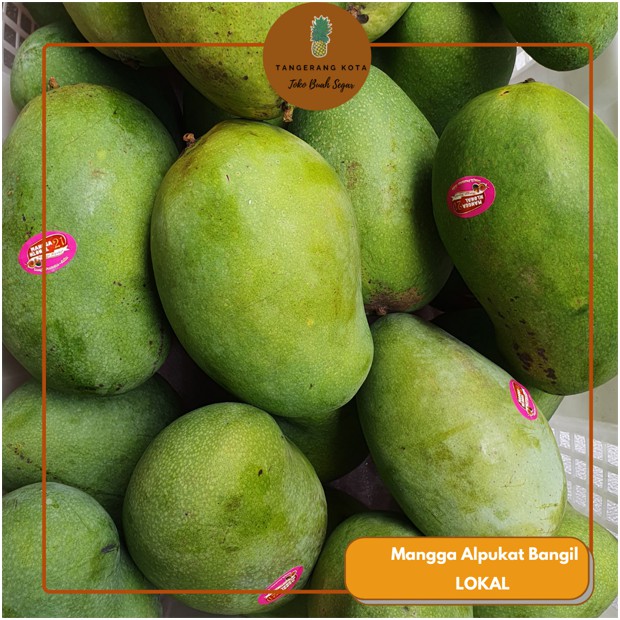 

Mangga Alpukat Matang Pohon (MP) Grade Super Asli Bangil Pasuruan Toko Buah Tangerang