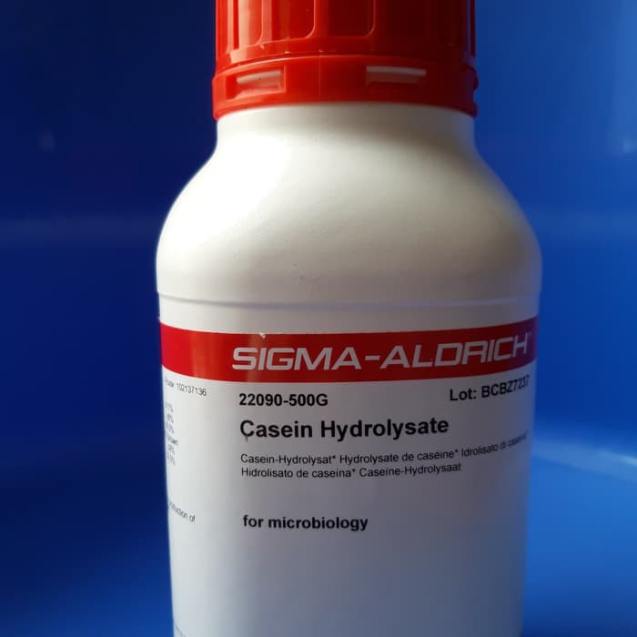 jual-casein-hydrolysate-casein-kasein-kasein-hydrolisat-indonesia