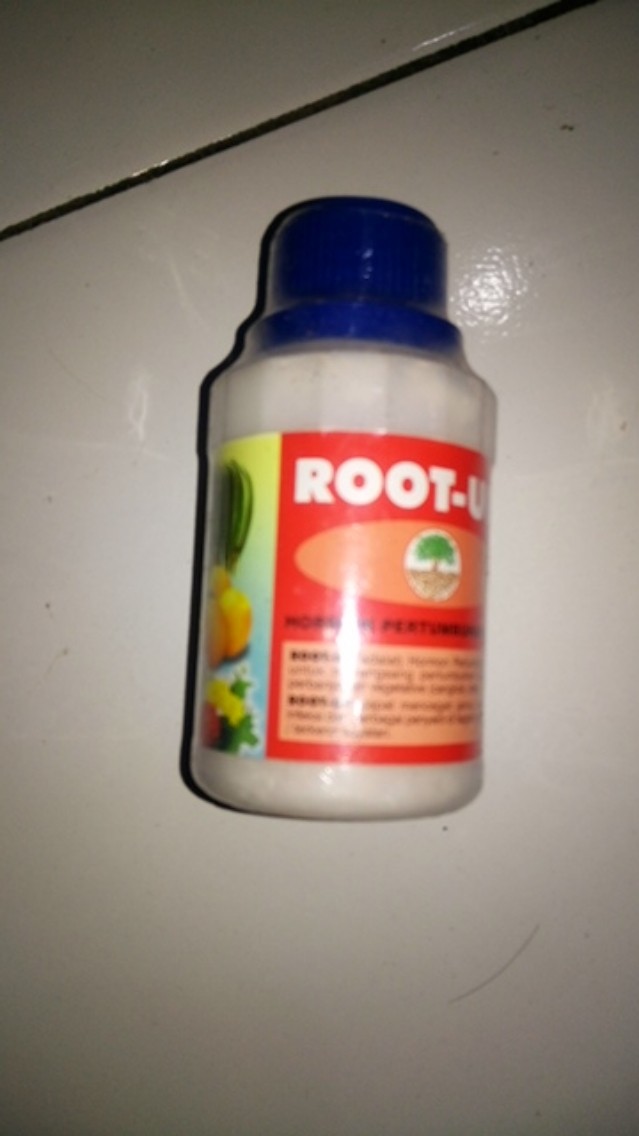 Root Up 100 Gram
