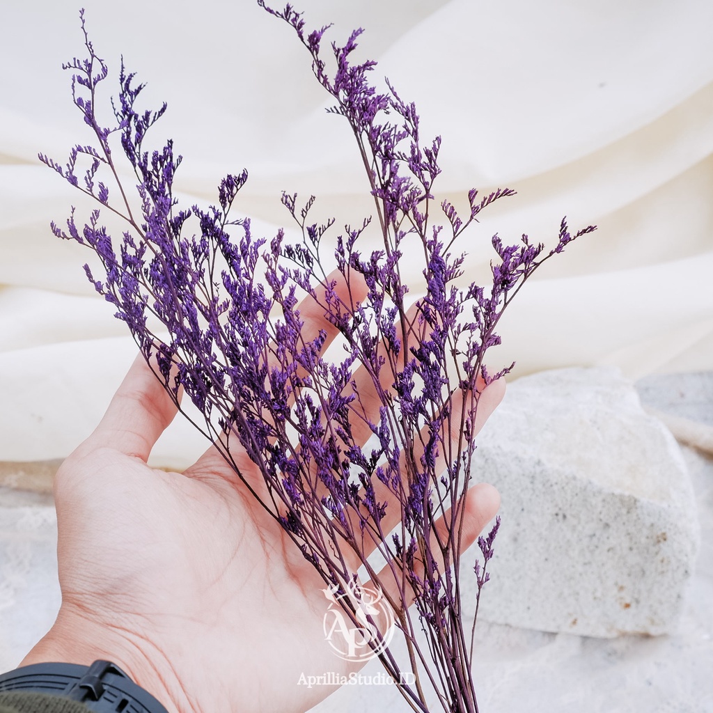 Bunga Kering Aesthetic Caspea 6 Batang