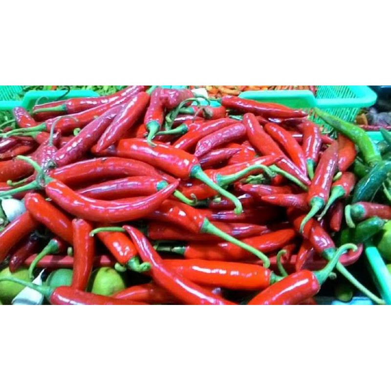 cabe merah / cabe merah besar / lombok gede / lombok abang