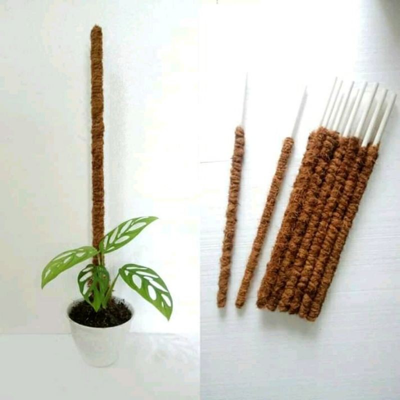 turus tiang penyangga tanaman 30 cm