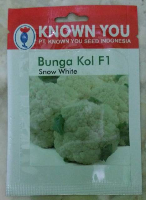 Benih Bunga Kol F1 Snow White  Known You