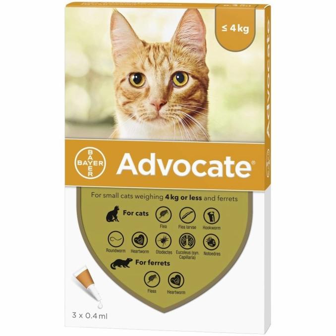 advocade small cats 4 kg obat kutu kucing per piece