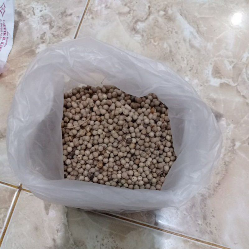 

bumbu dapur sahang lada 50 gram