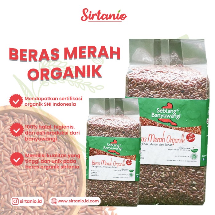 

Beras Merah Organik Seblang Banyuwangi Untuk Diabetes