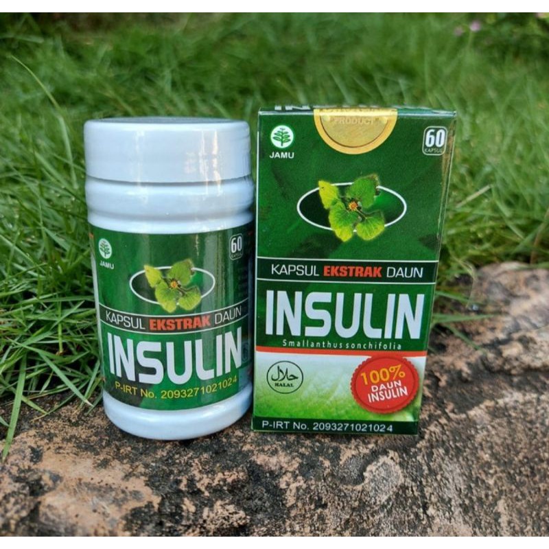 Kapsul daun insulin 60 kapsul | obat diabetes