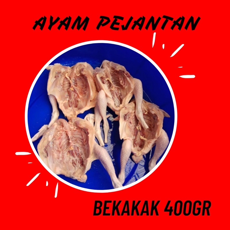 

Ayam Pejantan Bekakak 400 Gram Hidup Frozen