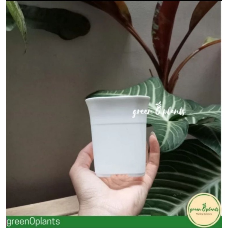 Pot Bunga Tanaman Plastik NKT Kotak 7 Putih