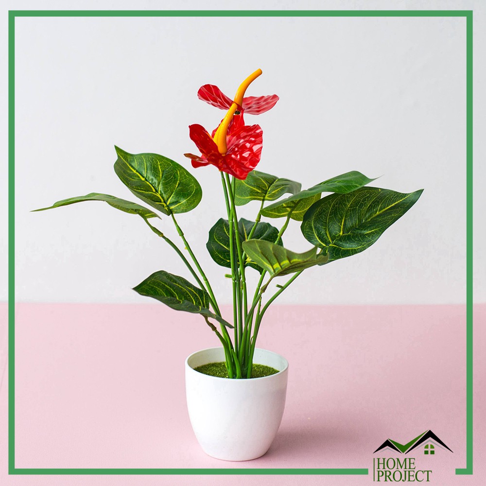 Rangkaian Bunga Plastik Minimalis Hiasan Bunga Artificial Flower Pot Bunga Type Color Anthurium-1