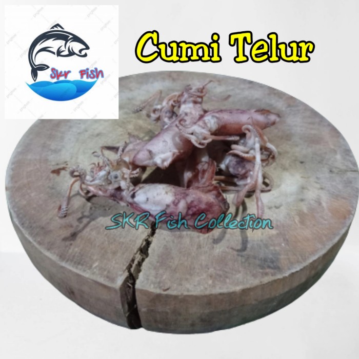 

cumi asin - cumi telur
