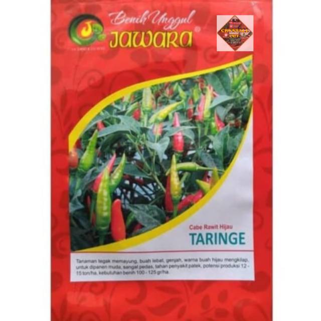 benih bibit cabe rawit hijau taringe produk jawara - JAWARA TARINGE