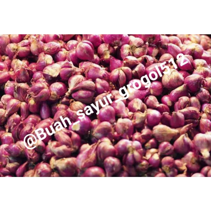 

Bawang merah besar / bawang merah brebes_ 250gr