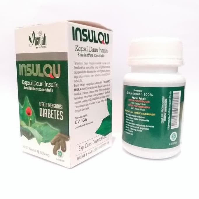 Kapsul Daun Insulin - INSULQU -Inayah- Obat Diabetes