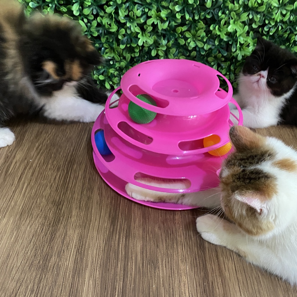 Tower Ball Track Mainan Kucing Bola 3 Susun Polos