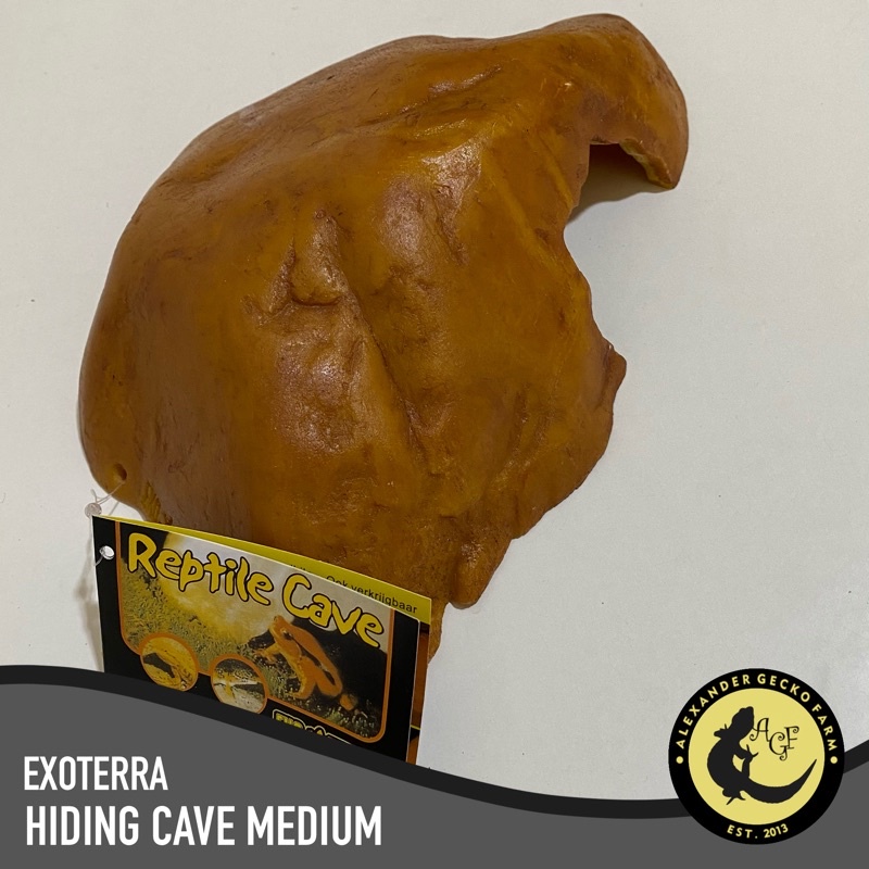 Exo Terra Hiding Cave Medium (M) Gecko