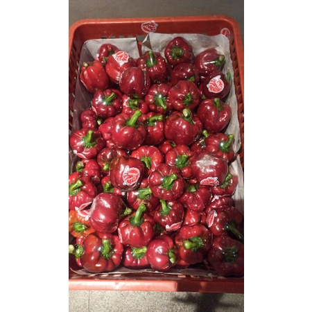 

Paprika Merah Murah