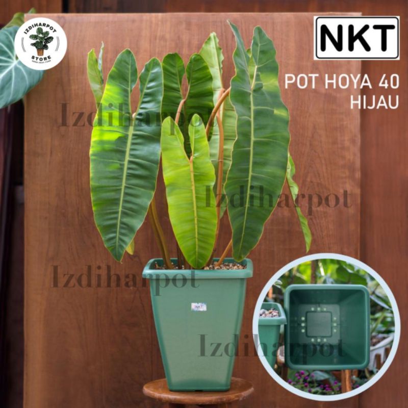 pot bunga tanaman kotak tinggi HOYA 40 HIJAU diameter 31cm - NKT HOYA