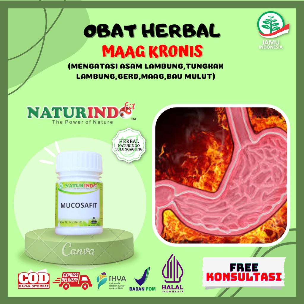 Jual Obat Maag Kronis Obat Herbal Asam Lambung Tinggi Infeksi Lambung ...