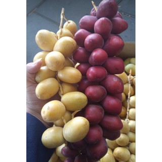 Jual S26 Promil Tahap 1 400gr  Kota Bekasi