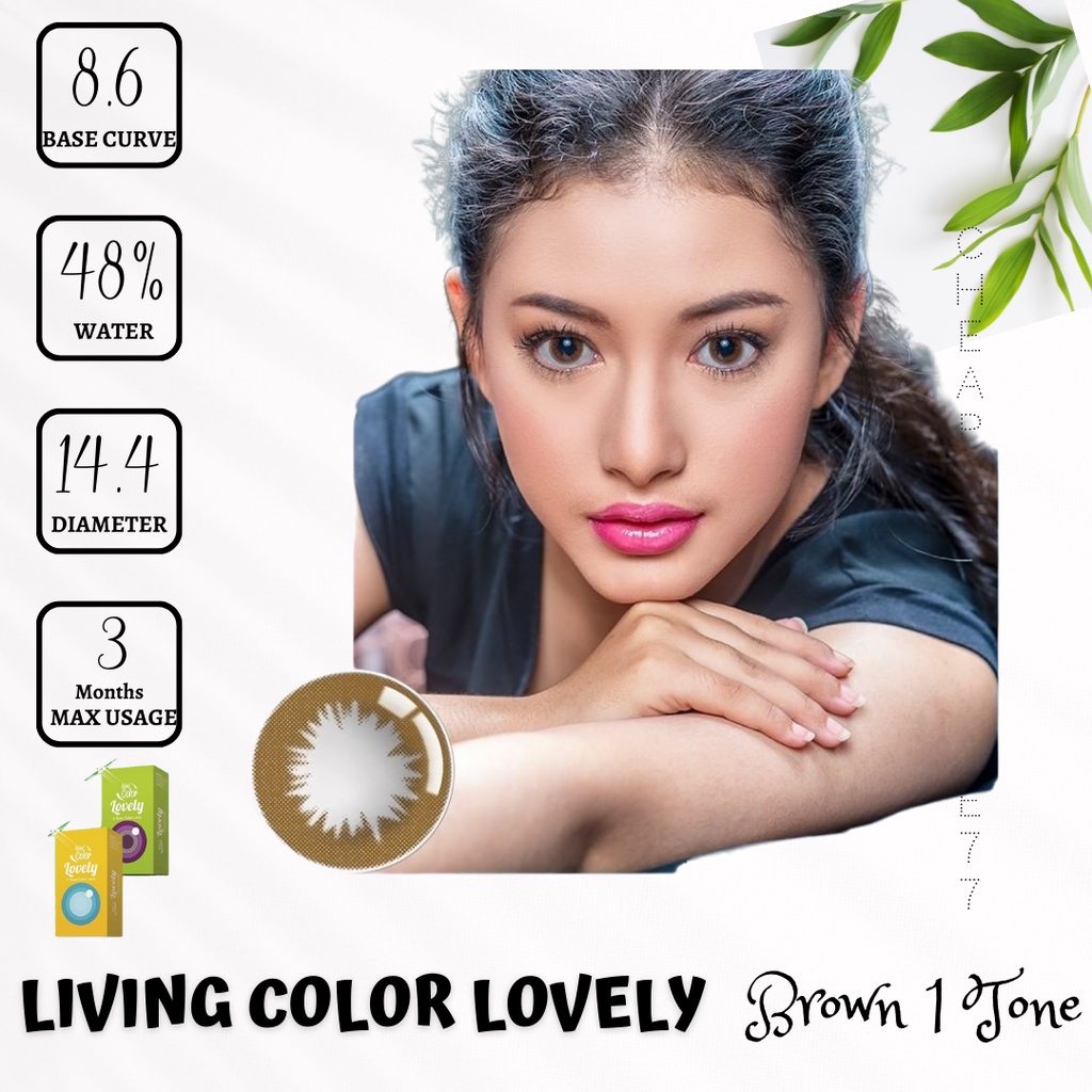 SOFTLENS LIVING COLOR - LOVELY - 3.00 sd - 6.00