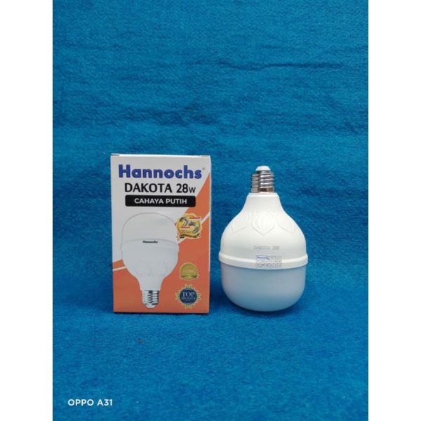 Bola lampu LED Hannochs Dakota 20watt