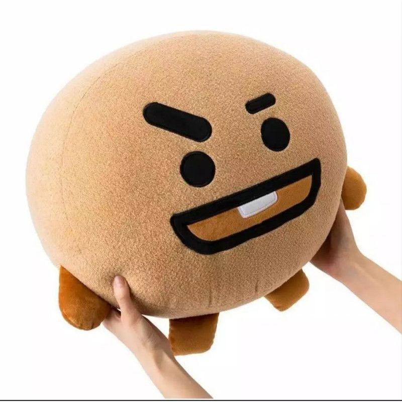 bantal boneka / Boneka BTS / BTS1 /Boneka lucu