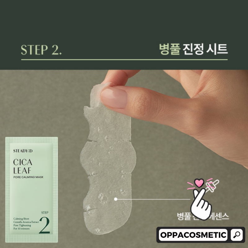 Steady:D Cica Leaf Black Head 2-Step Kit