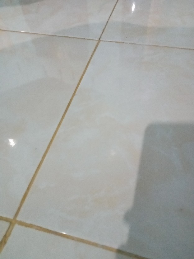 Botol Minum Bayi/ Baby Mug Lion Star 220 Ml