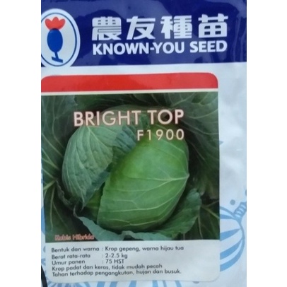 KUBIS BRIGHT TOP Benih Kubis hijau F1unggul bibit kol known you seed