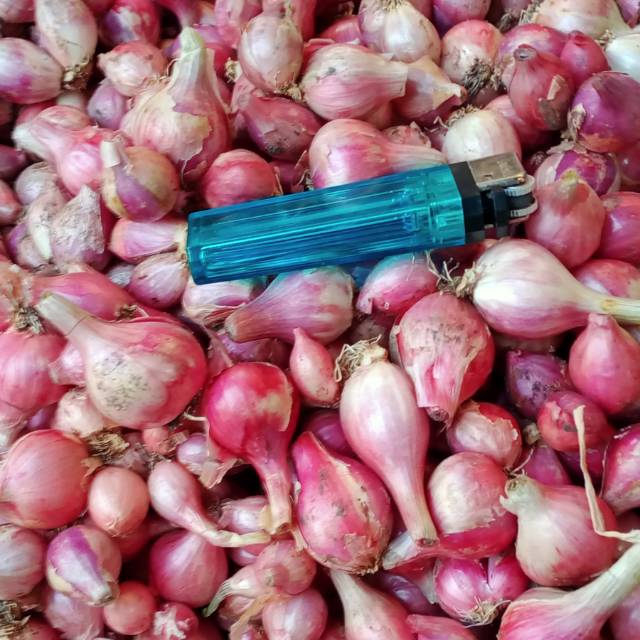 

1 KG BAWANG MERAH LOKAL NGANJUK