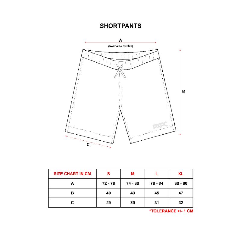 PXPC // &quot;SVRFACE SP&quot; / BOARD SHORTS / SHORTPANTS / WALKSHORTS / CELANA SURFING / ORIGINAL / CELANA PENDEK