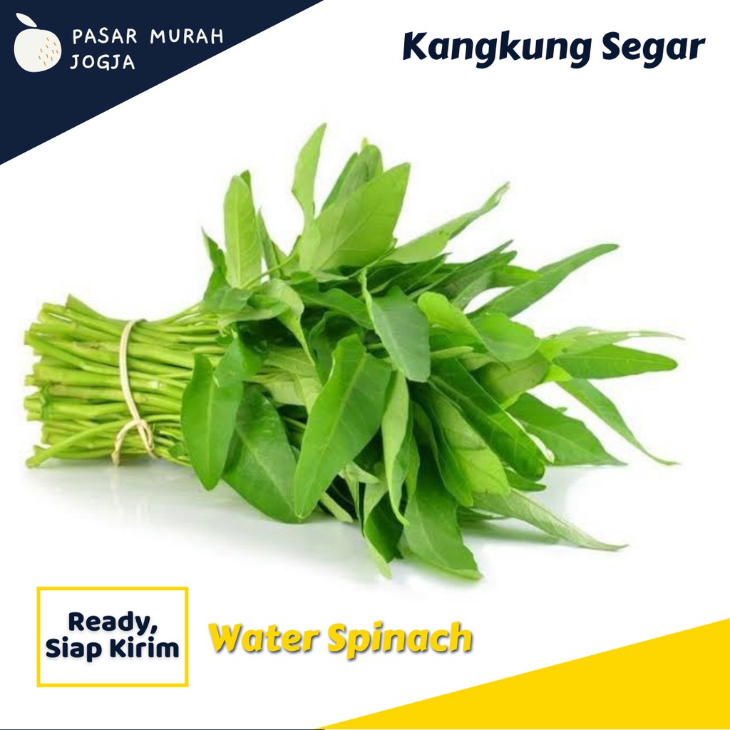 

Sayur Kangkung Segar Per Ikat Sayuran Fresh Pasar Murah Jogja